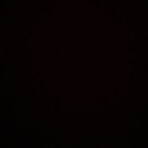 Meet your Posher, Shameka